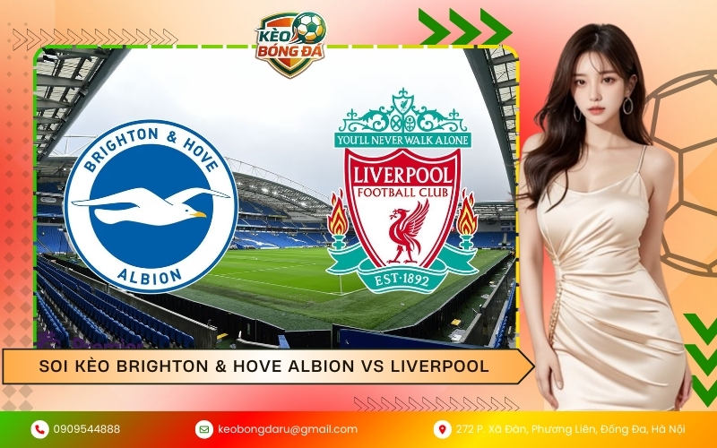 Soi Kèo Brighton & Hove Albion vs Liverpool
