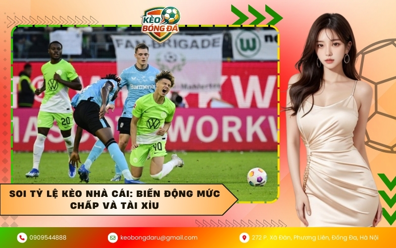 Soi tỷ lệ kèo nhà cái: Biến động mức chấp và tài xỉu